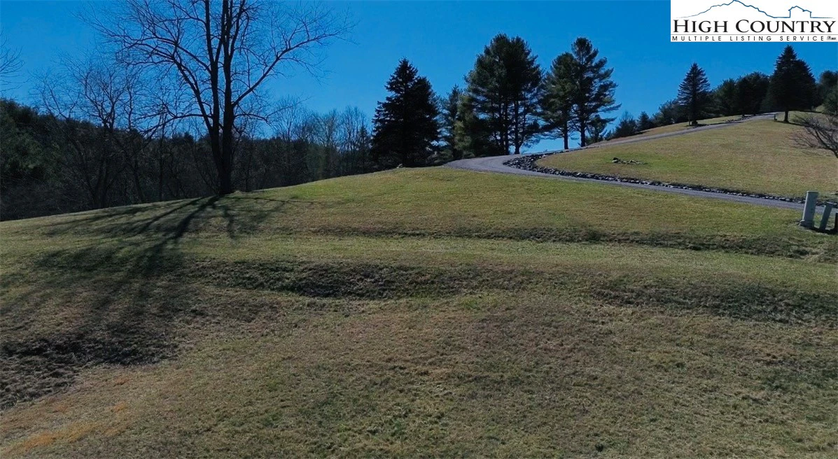Image number 7 for the current listing