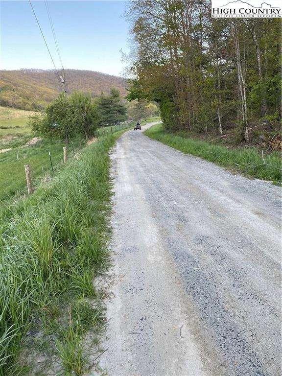 Image number 4 for the current listing