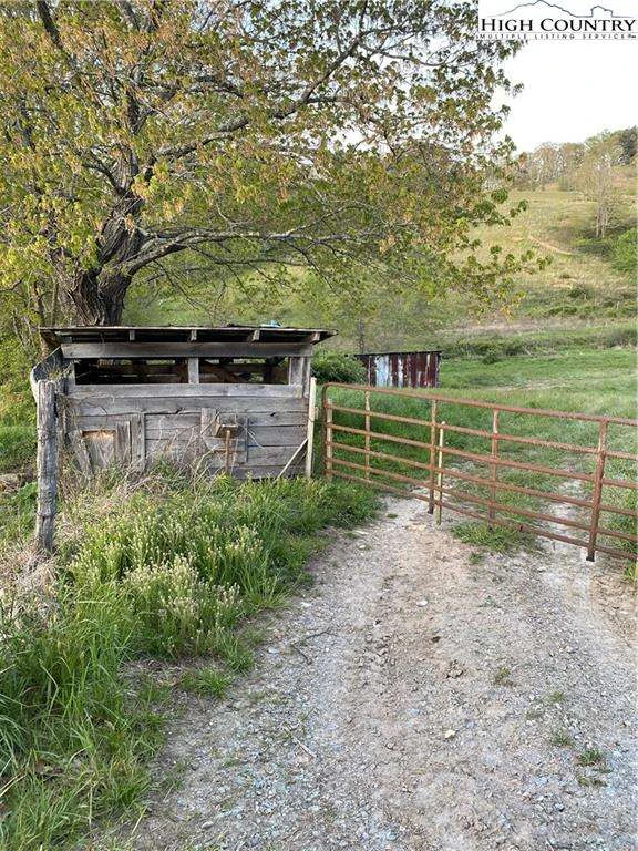 Image number 8 for the current listing