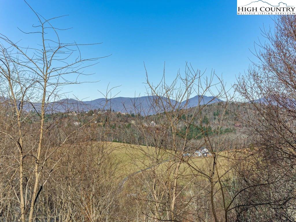 Image number 1 for the current listing