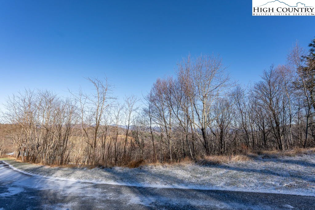 Image number 14 for the current listing