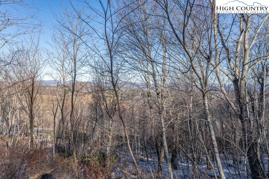 Image number 10 for the current listing