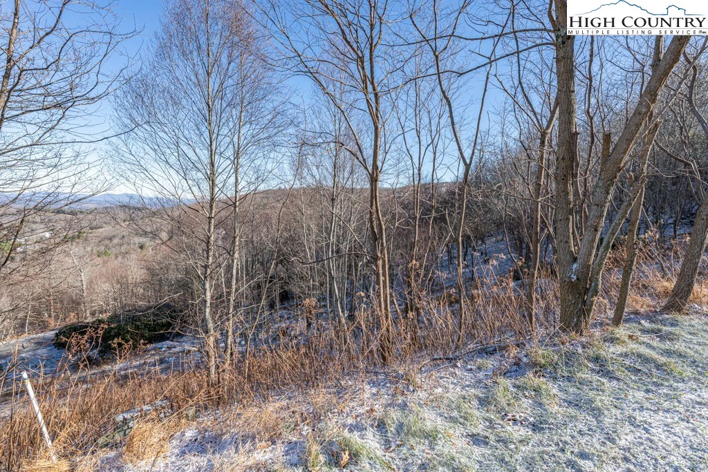 Image number 9 for the current listing
