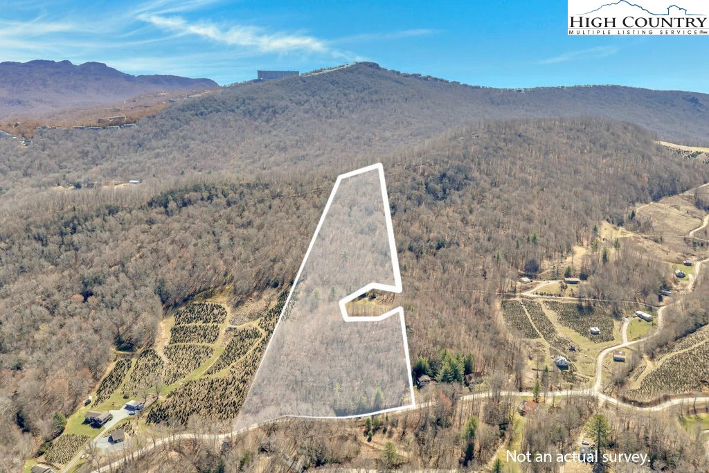 Image number 1 for the current listing