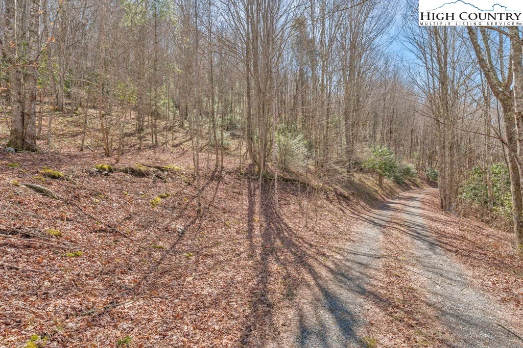 Image number 15 for the current listing