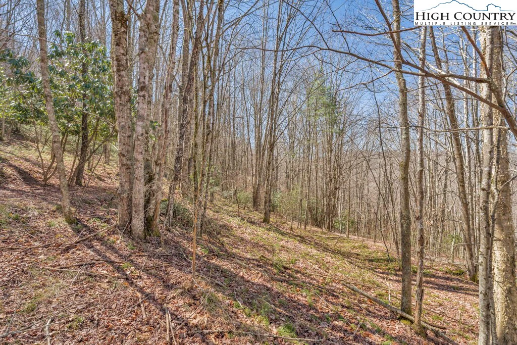 Image number 14 for the current listing