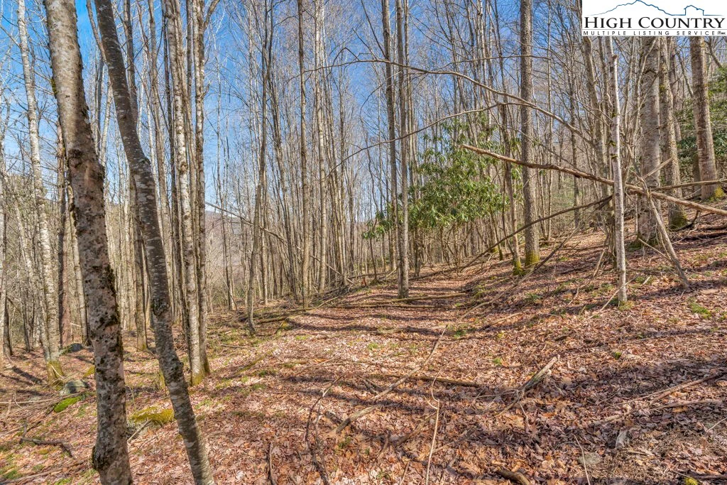 Image number 2 for the current listing