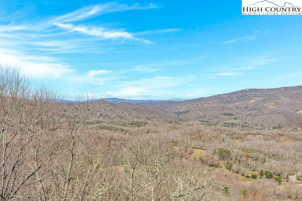 Image number 12 for the current listing