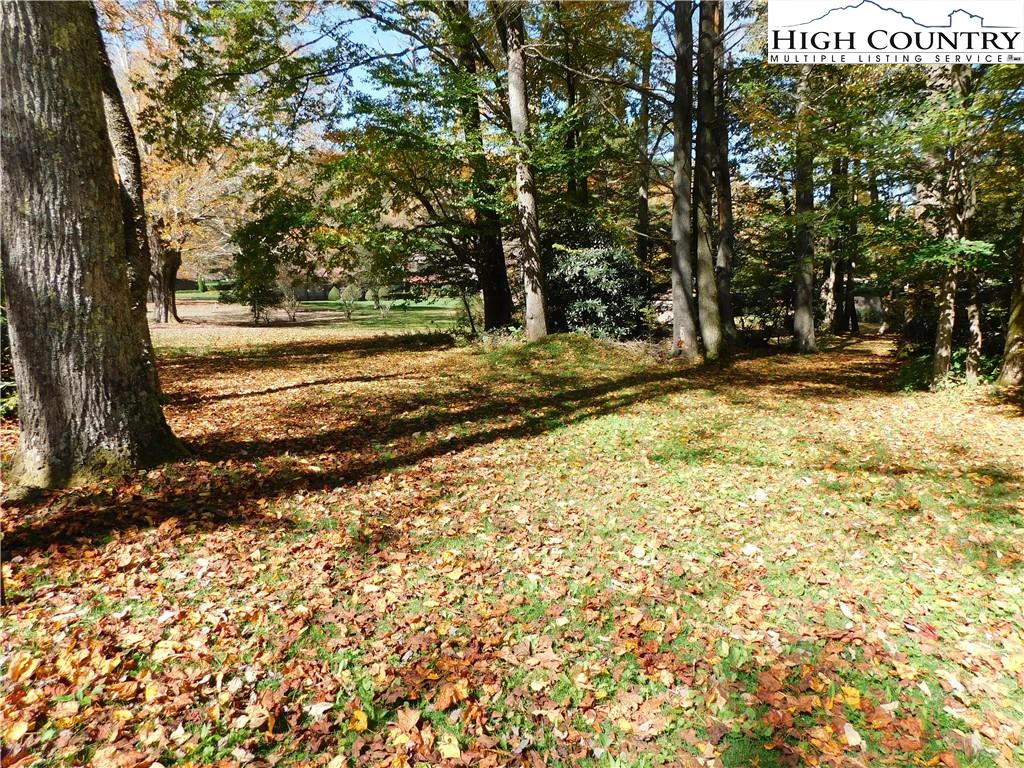 Image number 1 for the current listing