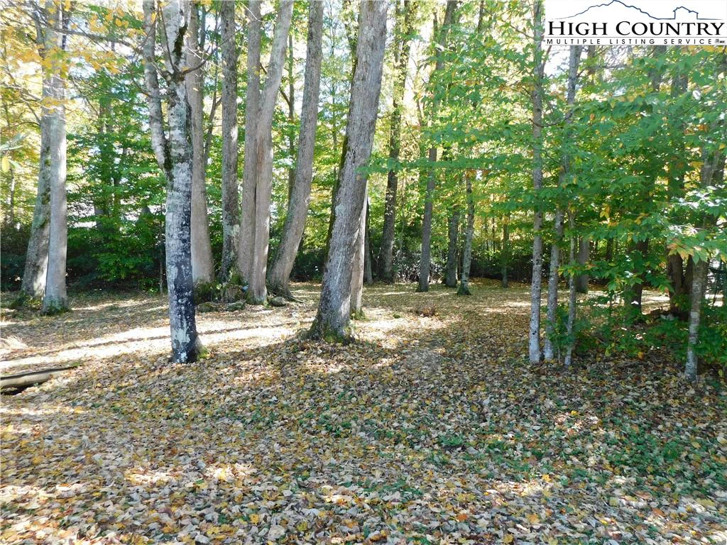 Image number 3 for the current listing