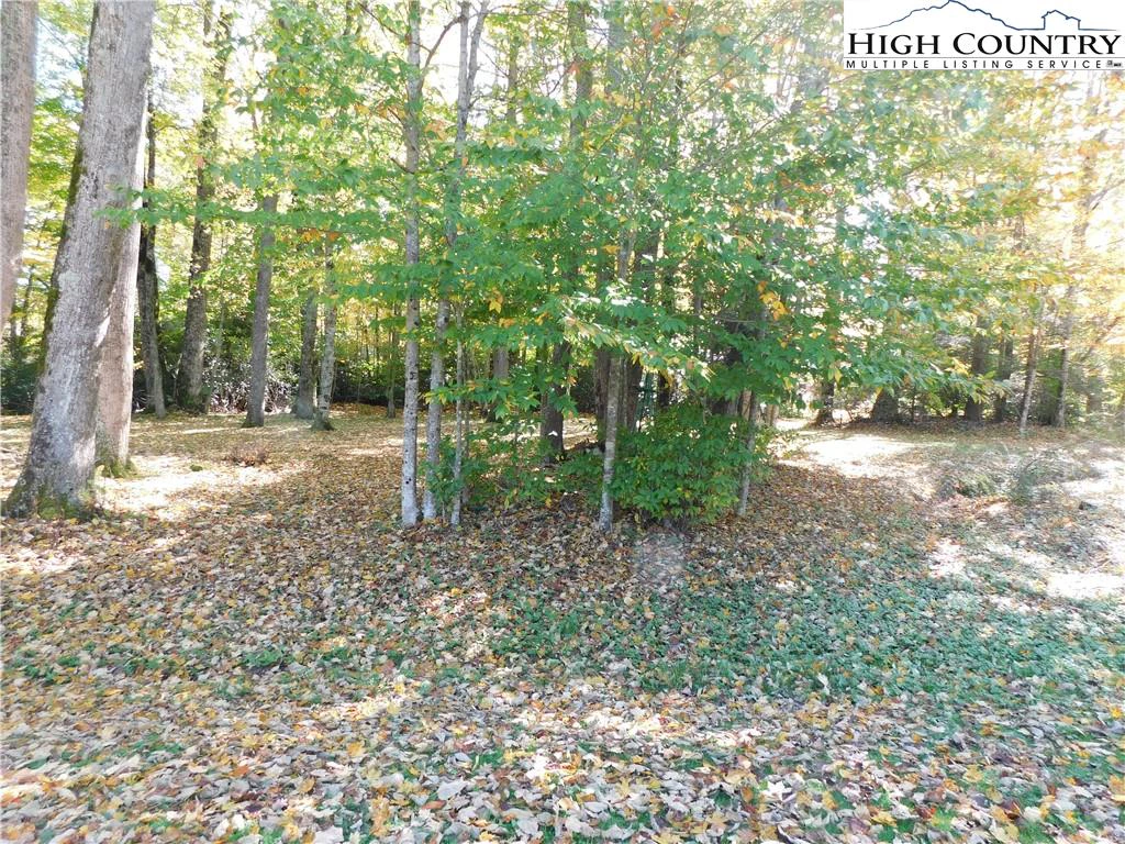 Image number 4 for the current listing