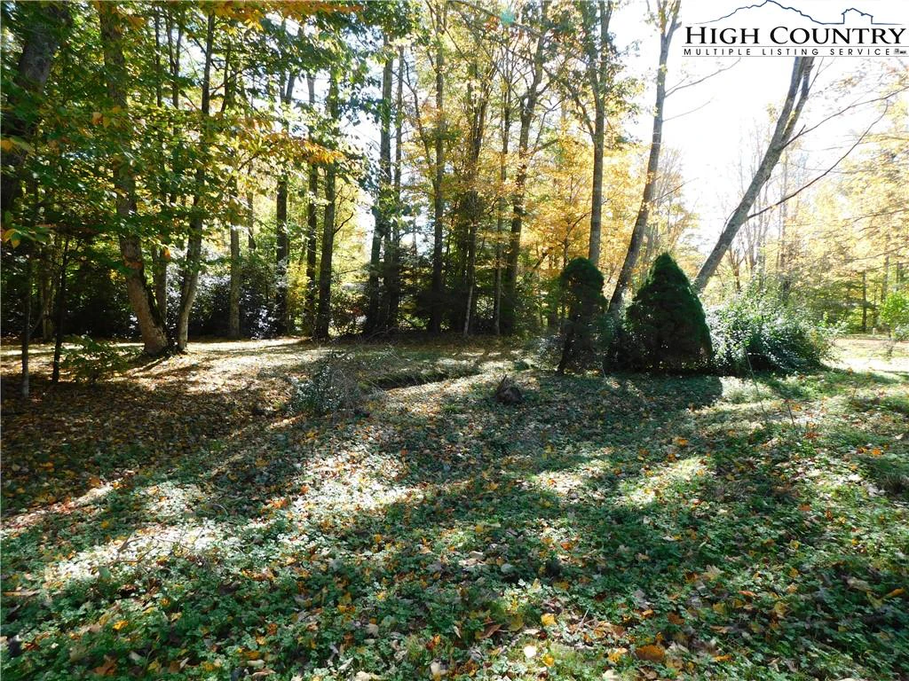 Image number 5 for the current listing
