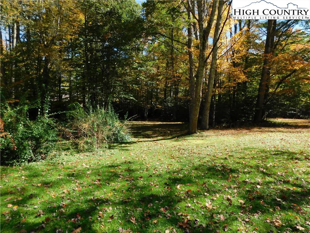 Image number 7 for the current listing