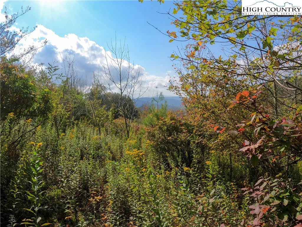 Image number 1 for the current listing