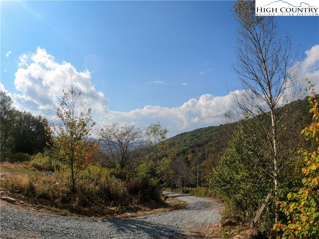 Image number 3 for the current listing