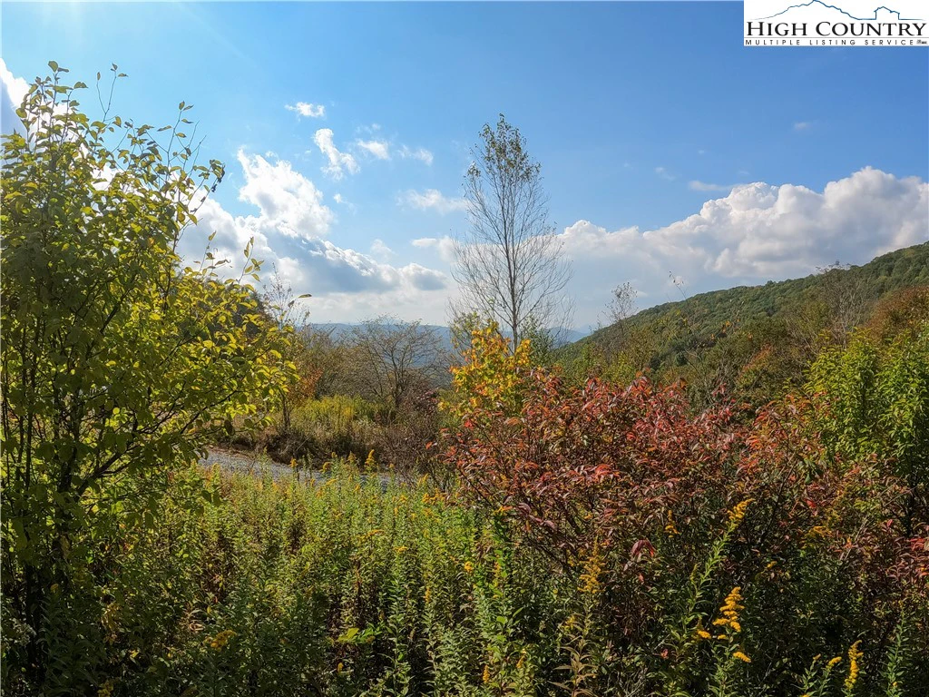 Image number 4 for the current listing