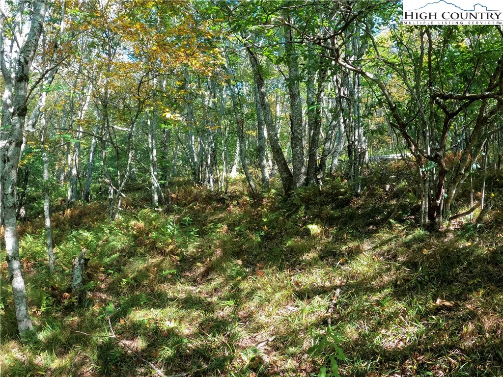 Image number 12 for the current listing