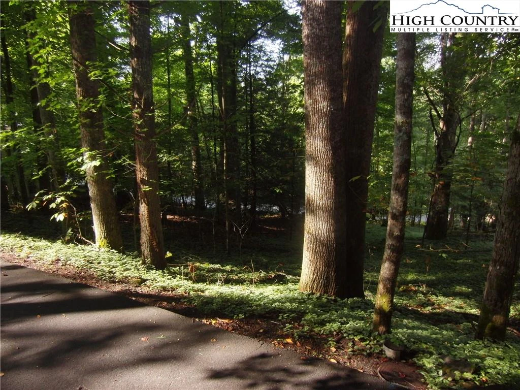 Image number 3 for the current listing