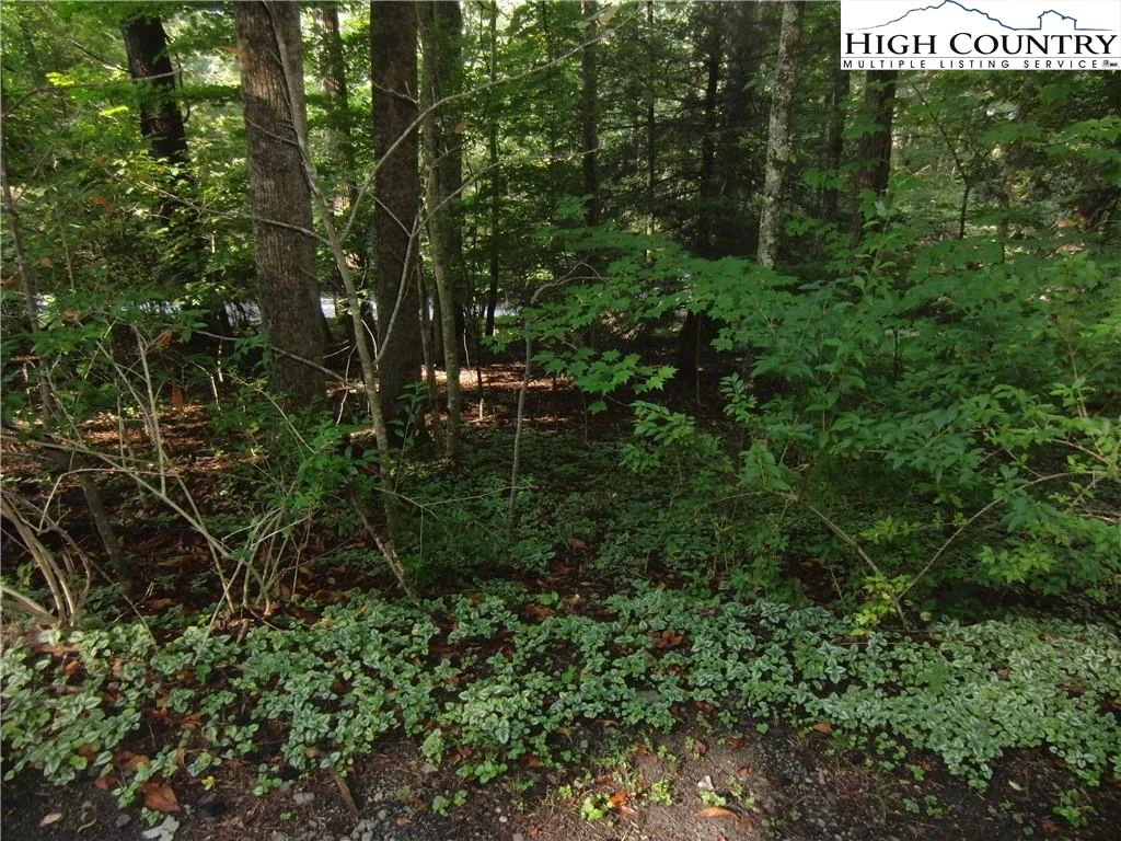 Image number 5 for the current listing