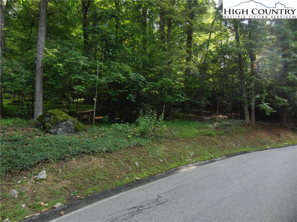 Image number 6 for the current listing