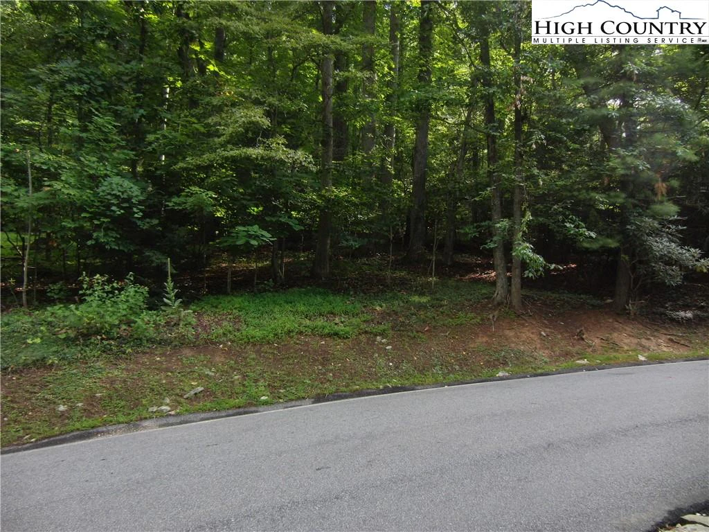 Image number 7 for the current listing