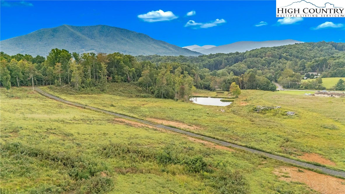 Image number 1 for the current listing