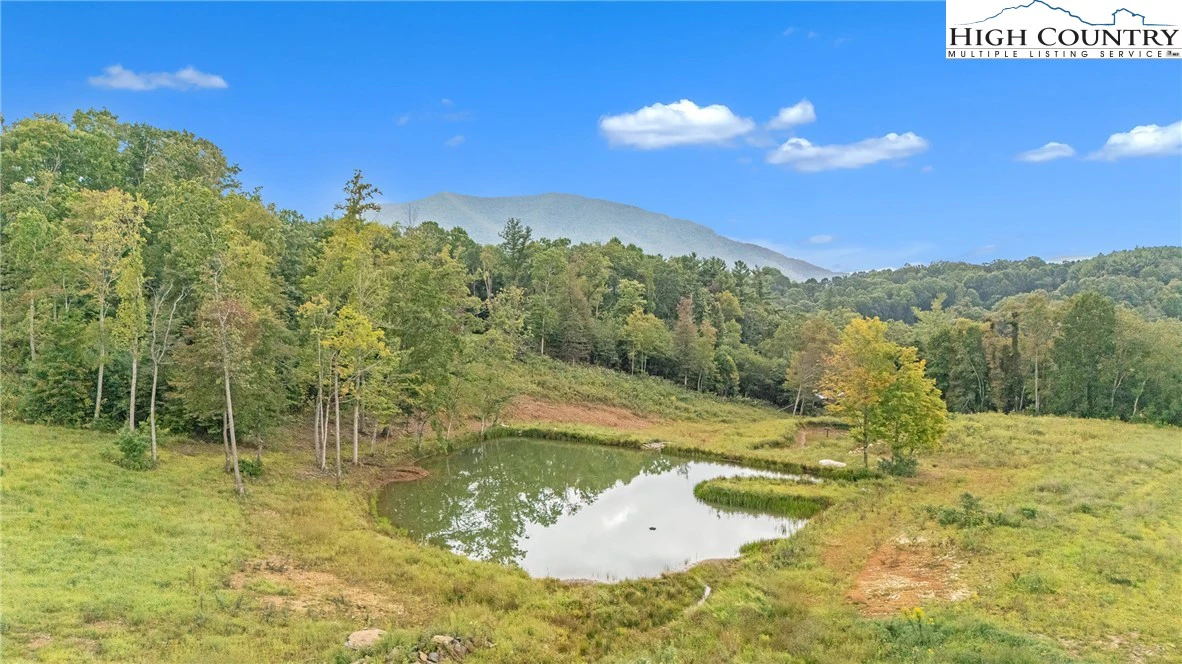 Image number 3 for the current listing