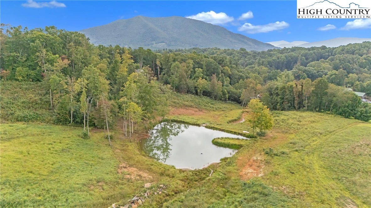 Image number 4 for the current listing