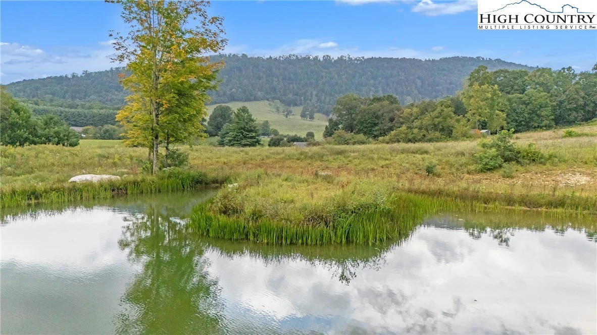 Image number 5 for the current listing