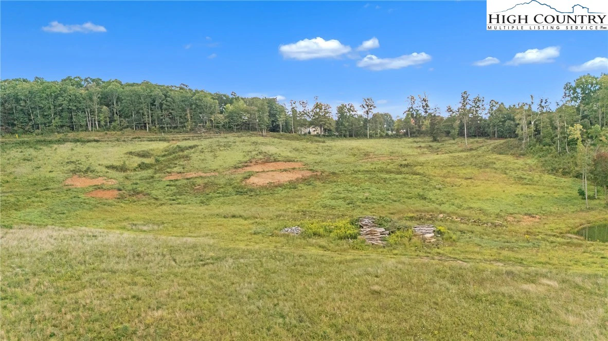 Image number 6 for the current listing