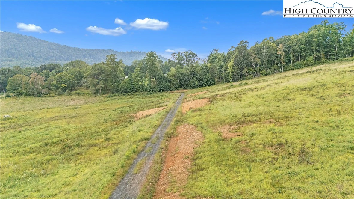 Image number 8 for the current listing
