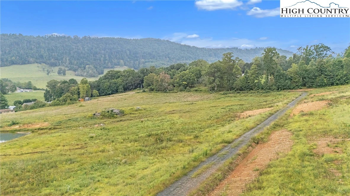Image number 9 for the current listing