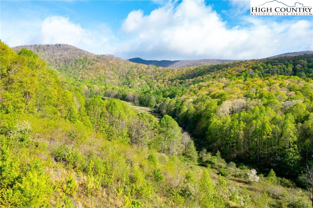 Image number 11 for the current listing
