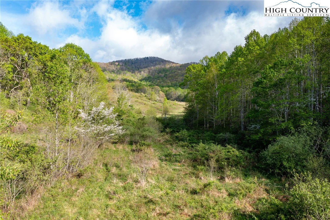 Image number 16 for the current listing
