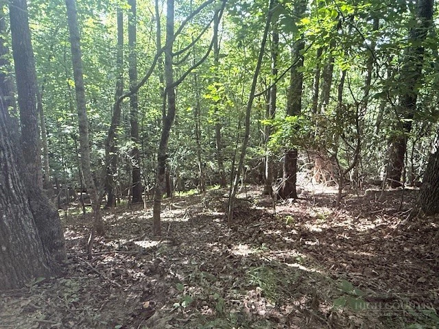 Image number 1 for the current listing