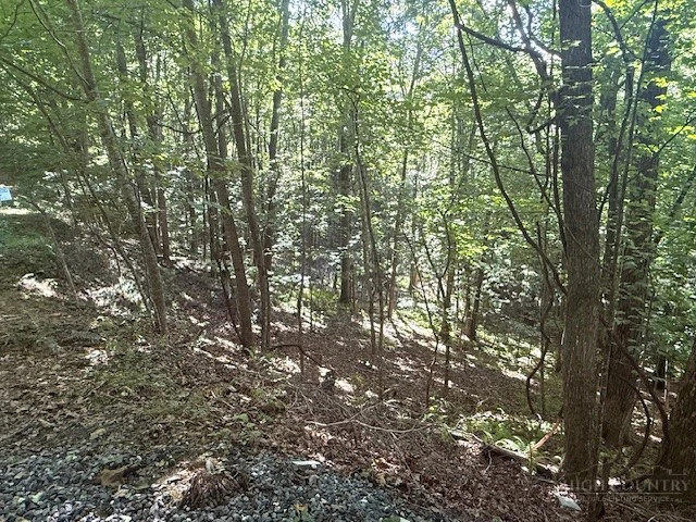 Image number 2 for the current listing