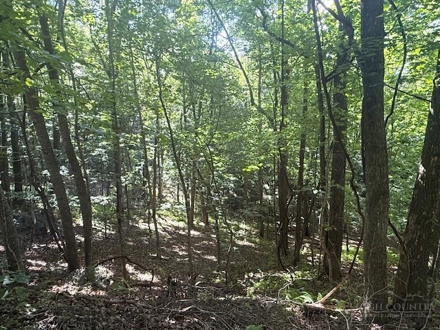Image number 3 for the current listing