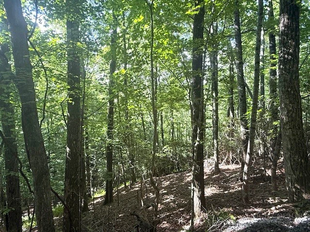 Image number 4 for the current listing