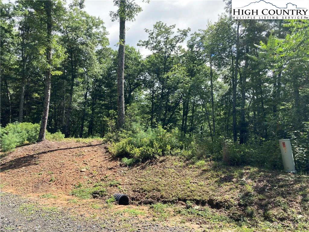 Image number 1 for the current listing