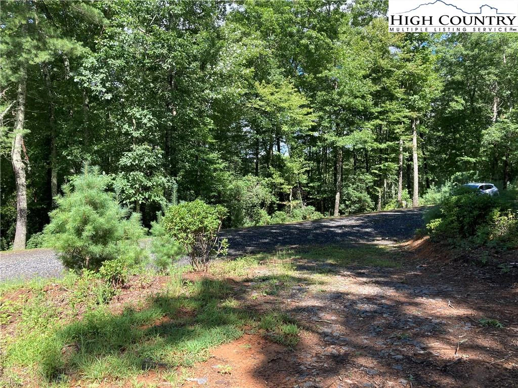 Image number 3 for the current listing