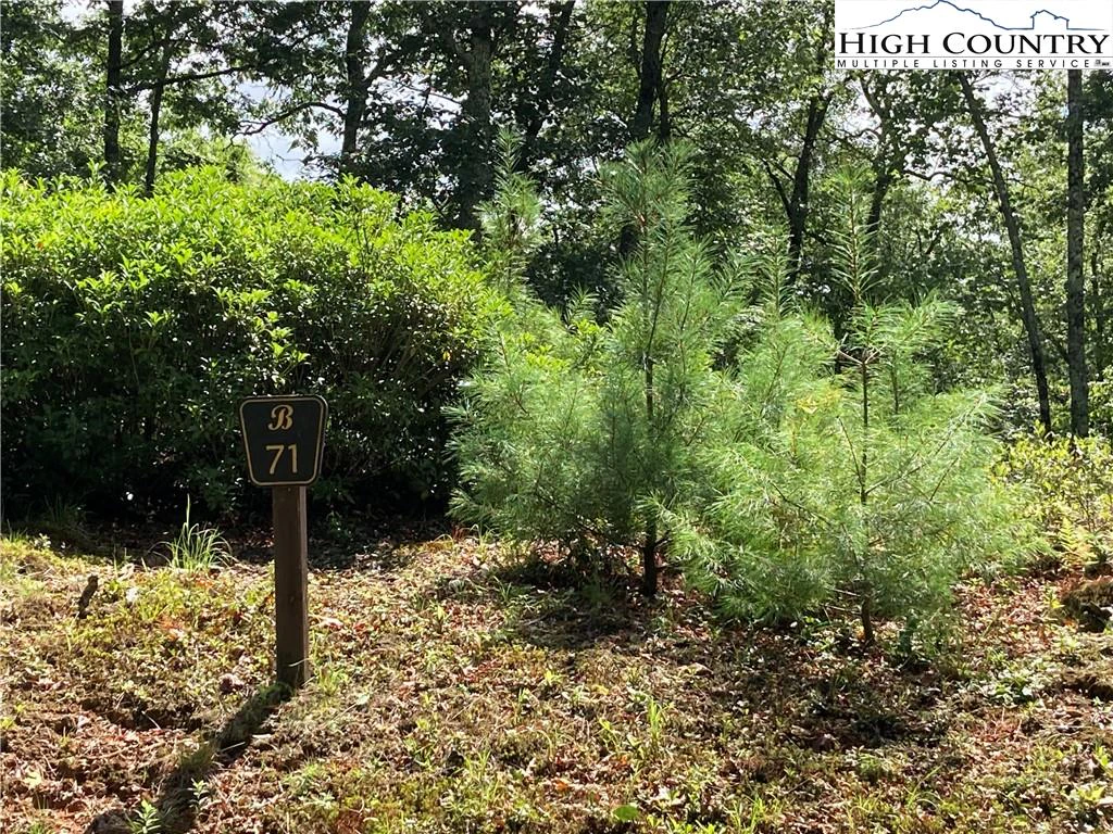 Image number 5 for the current listing