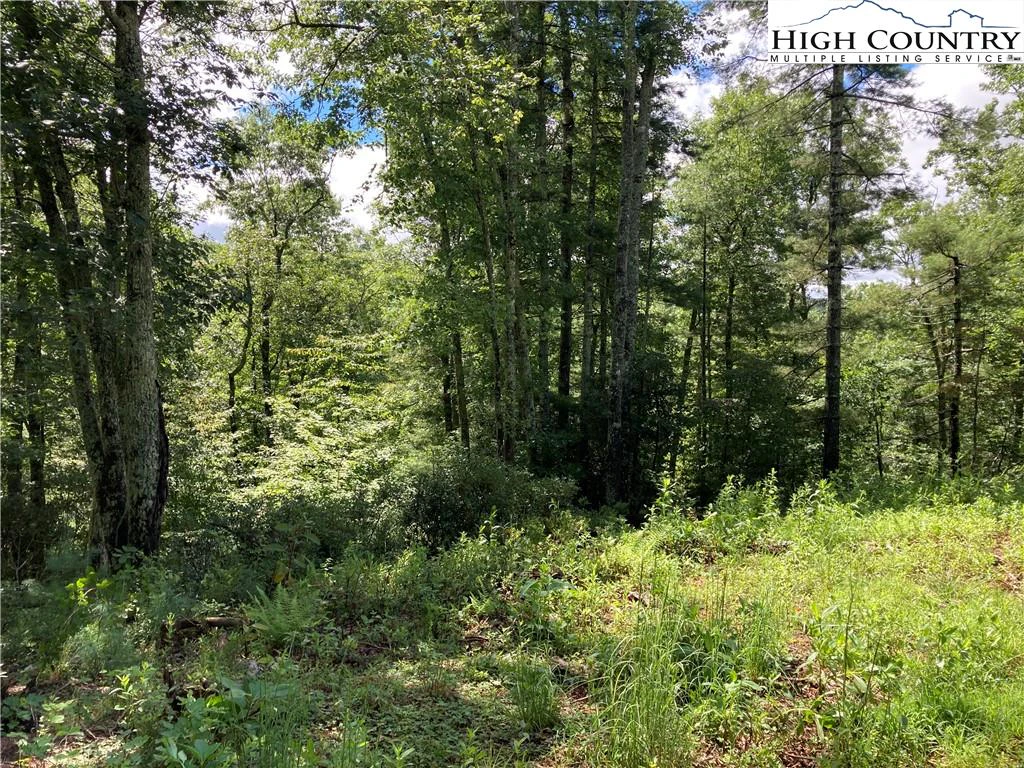 Image number 6 for the current listing
