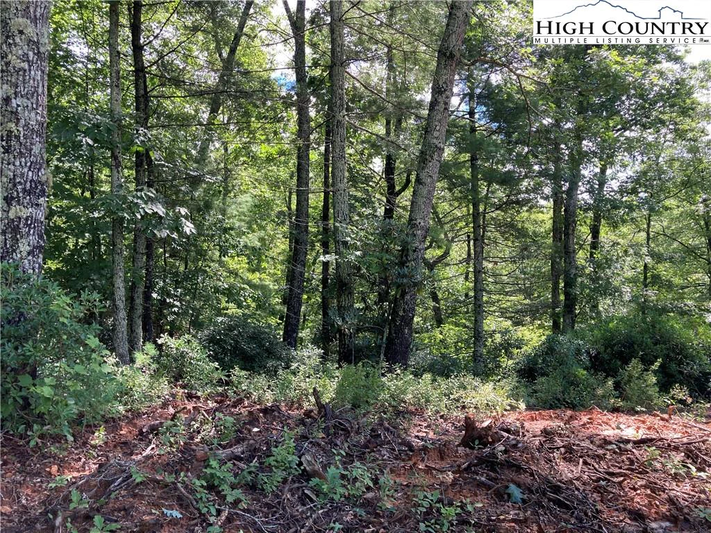 Image number 7 for the current listing