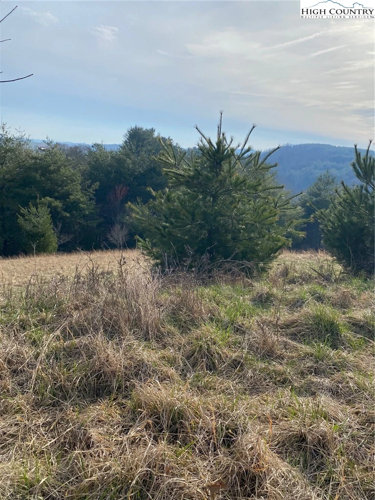Image number 1 for the current listing