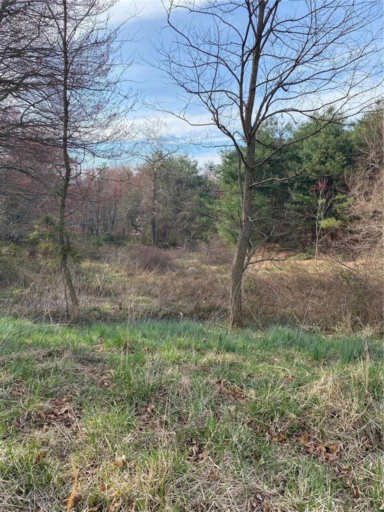 Image number 1 for the current listing