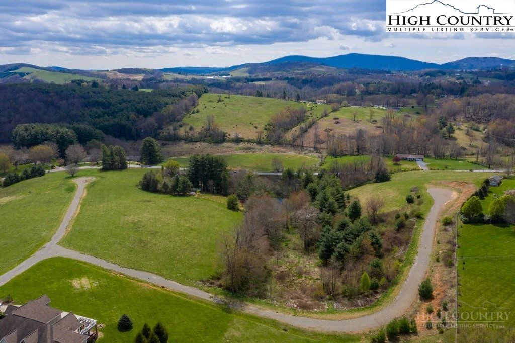 Image number 4 for the current listing