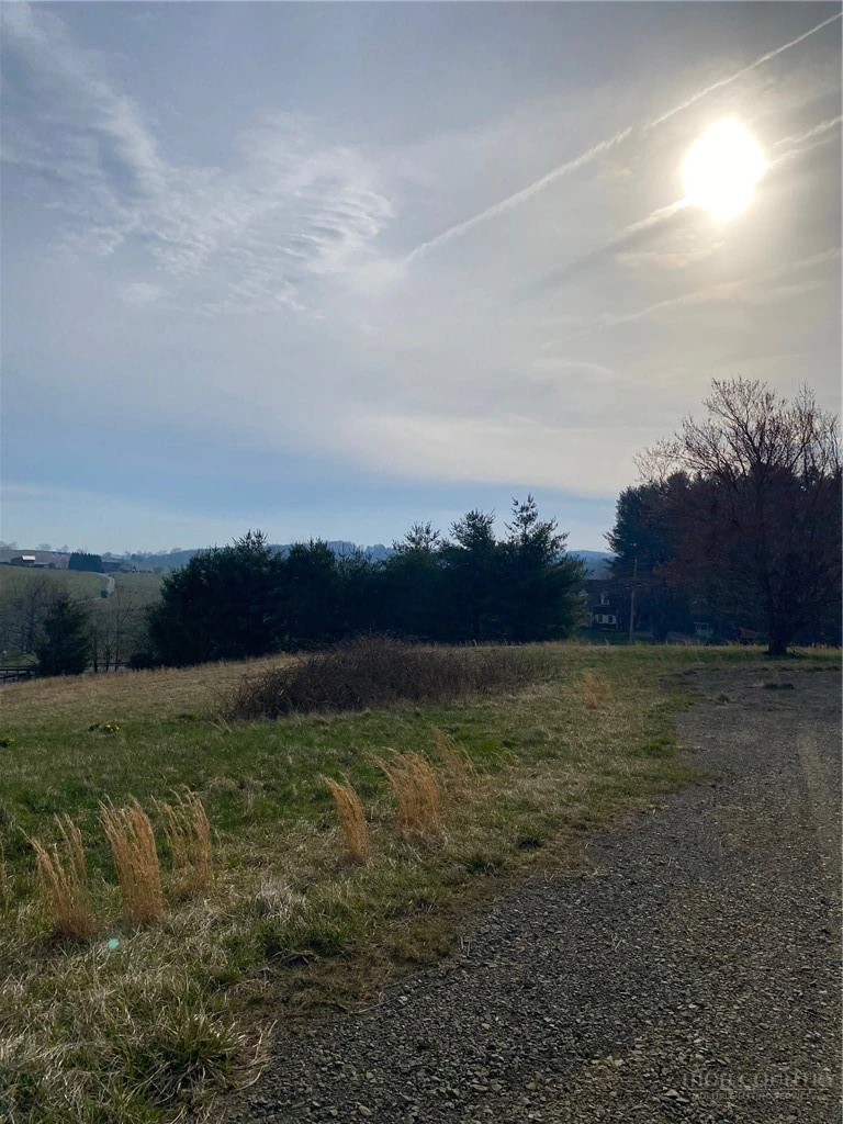 Image number 3 for the current listing