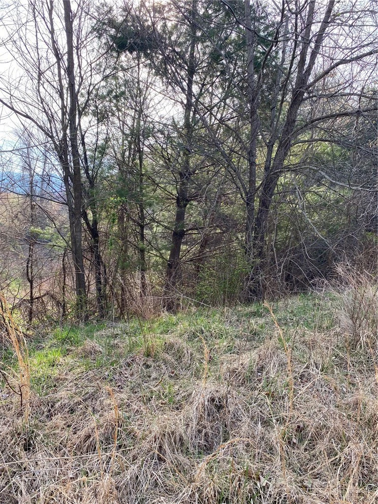 Image number 3 for the current listing