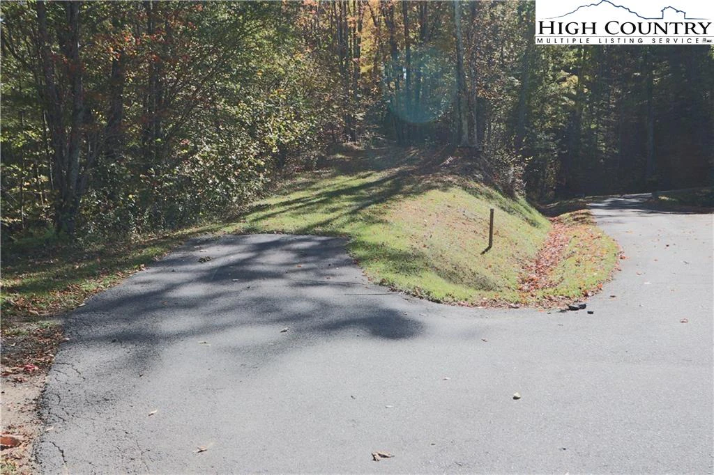 Image number 4 for the current listing