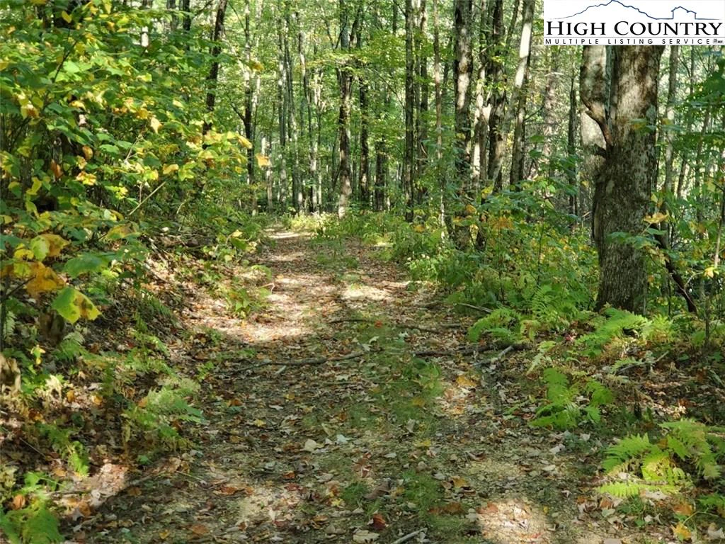 Image number 6 for the current listing